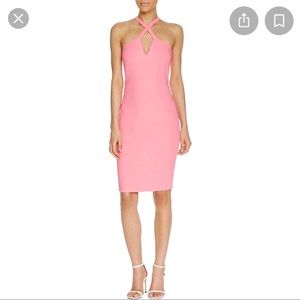 *NWT* Likely Charles Dress